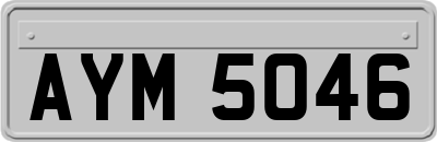 AYM5046