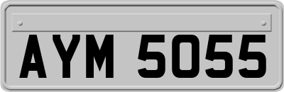 AYM5055