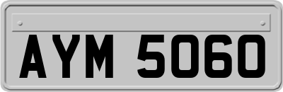 AYM5060