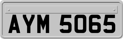 AYM5065