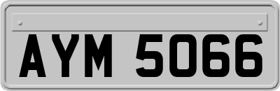 AYM5066