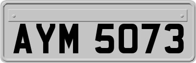 AYM5073