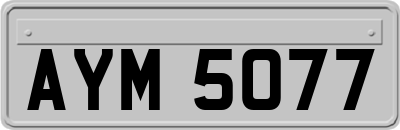 AYM5077