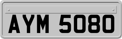 AYM5080