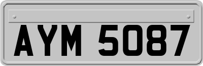 AYM5087