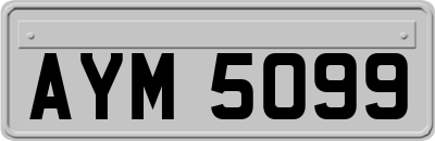 AYM5099