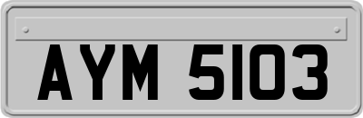 AYM5103