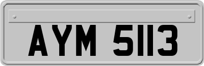 AYM5113