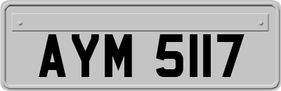 AYM5117