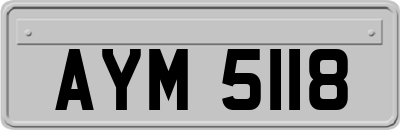 AYM5118
