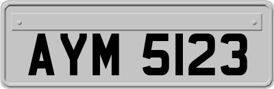 AYM5123