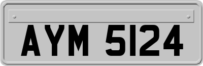 AYM5124