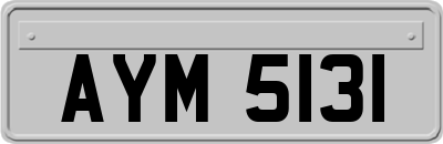 AYM5131