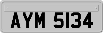 AYM5134