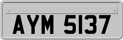 AYM5137
