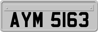 AYM5163