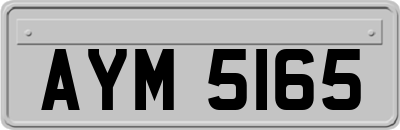 AYM5165