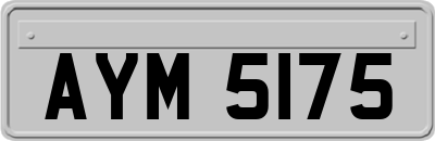 AYM5175