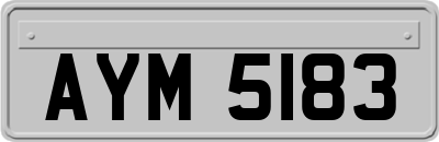 AYM5183