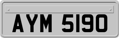 AYM5190
