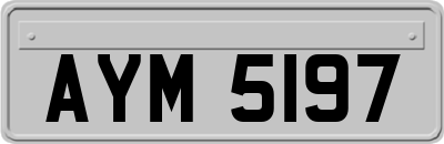 AYM5197