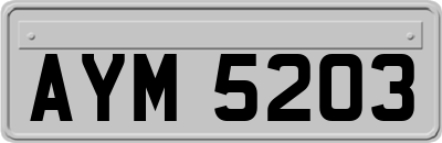 AYM5203