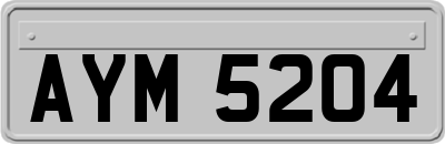 AYM5204