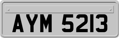 AYM5213