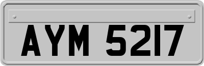 AYM5217