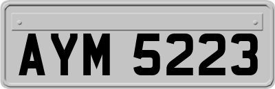 AYM5223