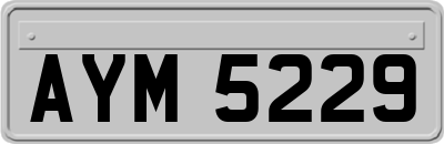 AYM5229