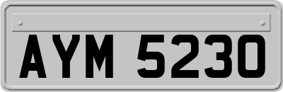AYM5230