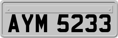 AYM5233