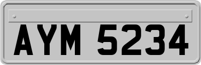 AYM5234