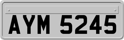 AYM5245