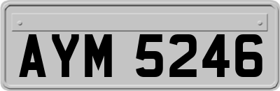 AYM5246
