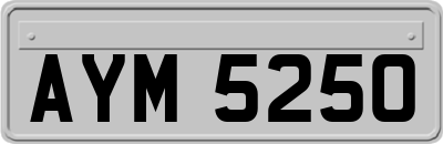AYM5250