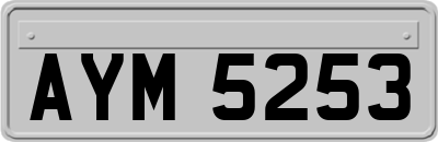 AYM5253