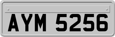 AYM5256