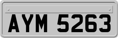 AYM5263