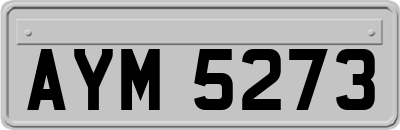 AYM5273