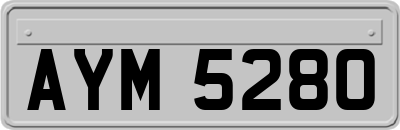 AYM5280