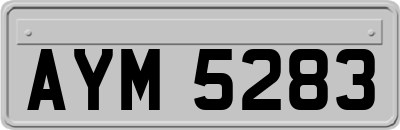 AYM5283