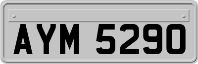 AYM5290