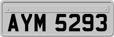 AYM5293
