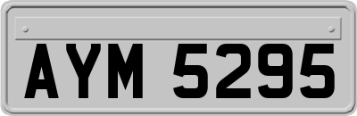 AYM5295
