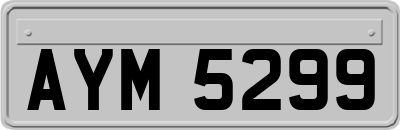 AYM5299