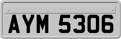 AYM5306