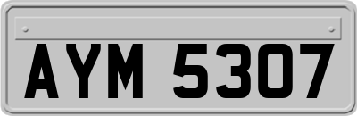 AYM5307