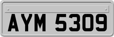 AYM5309